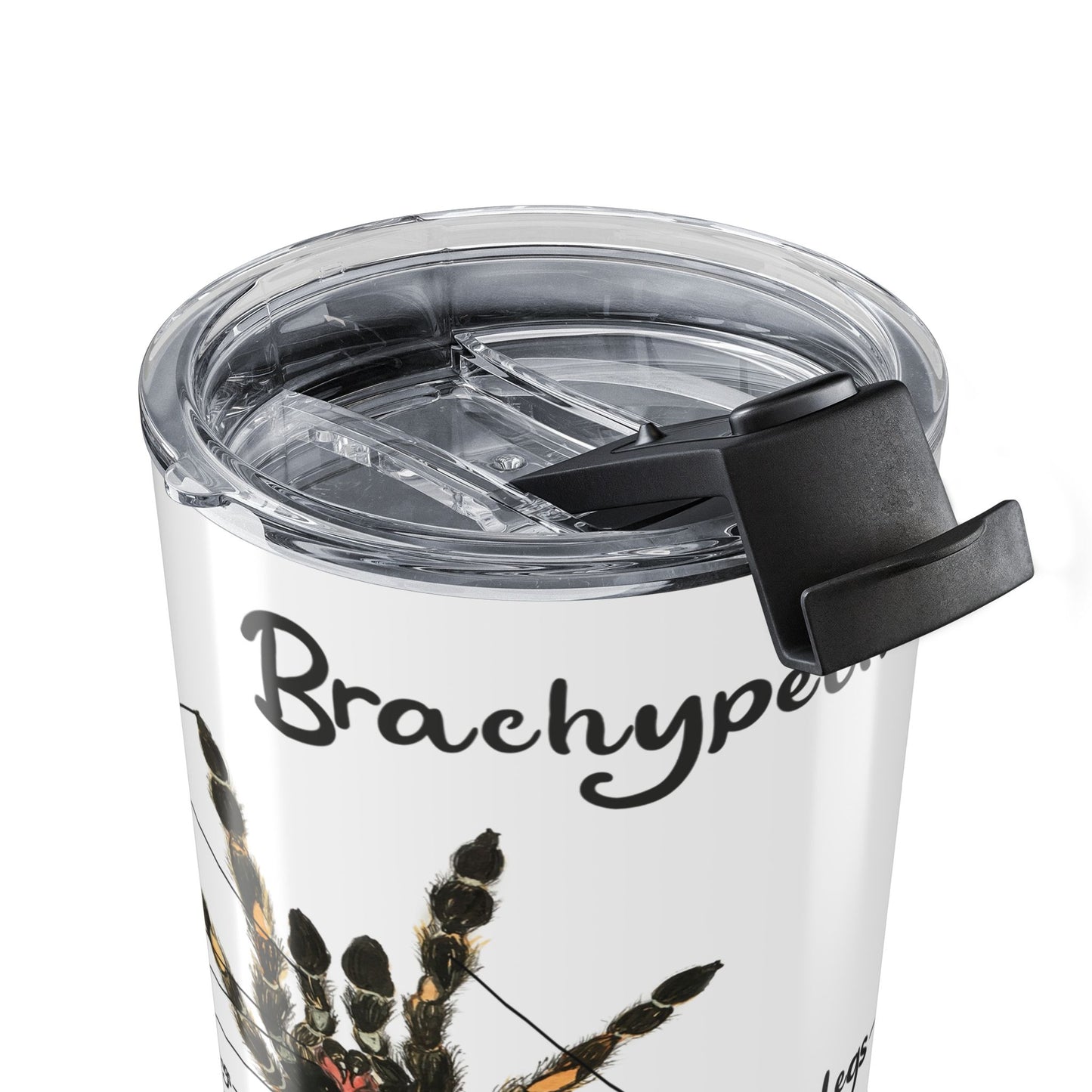 Brachypelma Smithi Anatomy Tumbler 20oz