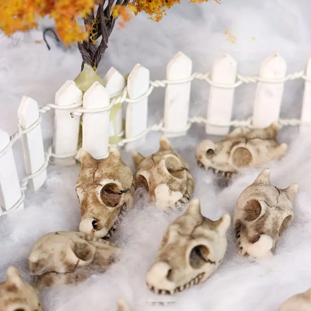 5 Tiny Dragon Skulls