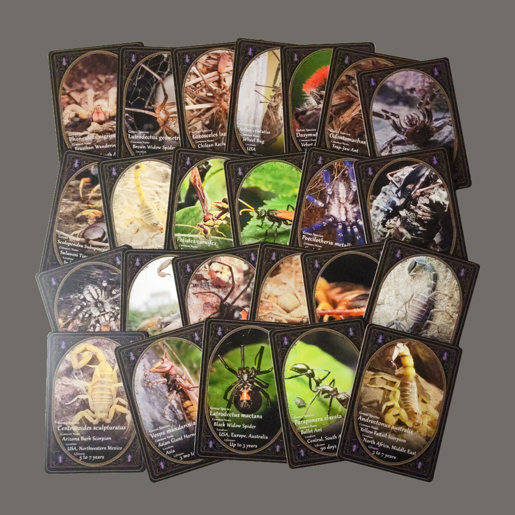 Limited Edition Venom & Vision Arachnicards – Only 100 Packs Made!
