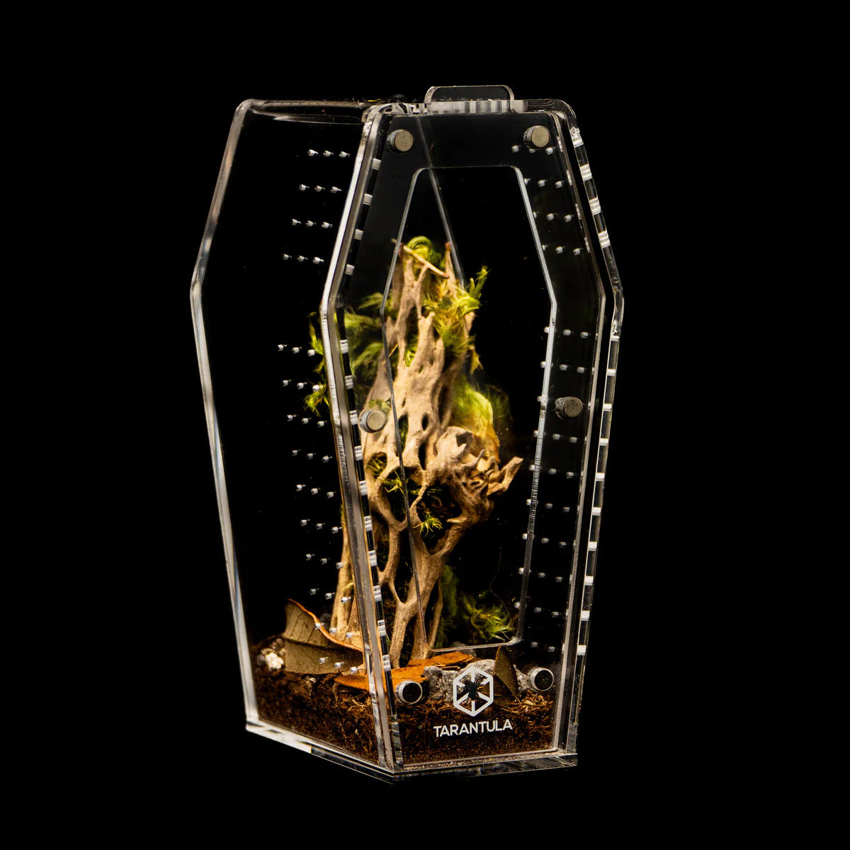 Clear Mini Coffin Crib | Acrylic Tarantula & Invertebrate Enclosure