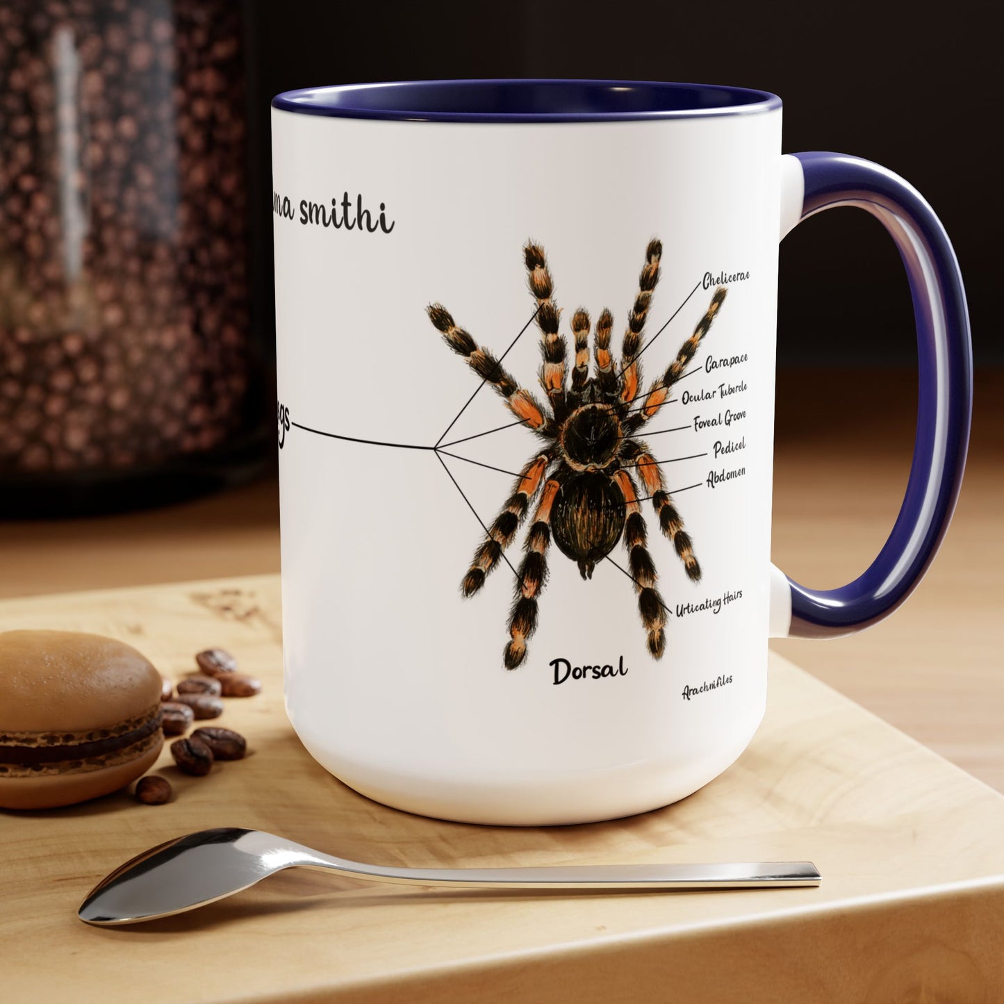 Brachypelma Smithi Anatomy Mug, 15oz (Medium)