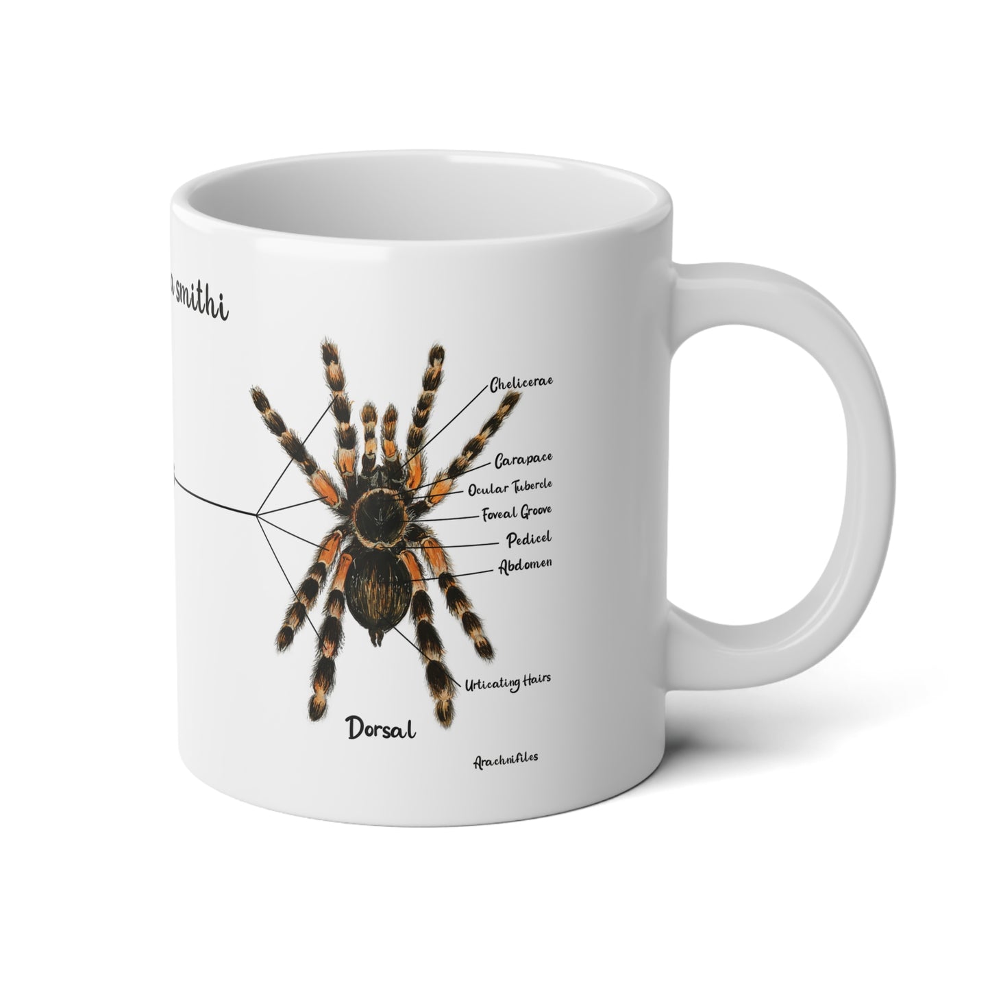 Brachypelma Smithi Anatomy Mug, 20oz (Large)
