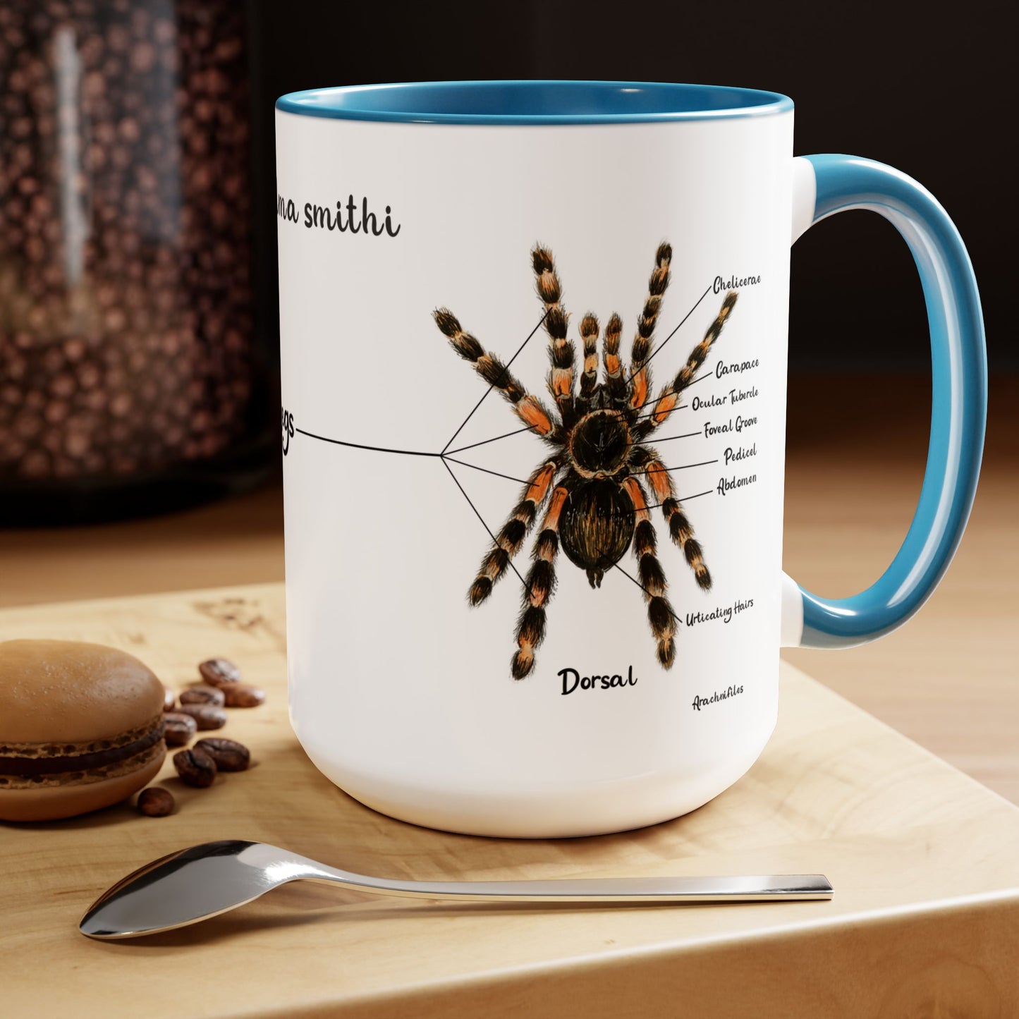 Brachypelma Smithi Anatomy Mug, 15oz (Medium)
