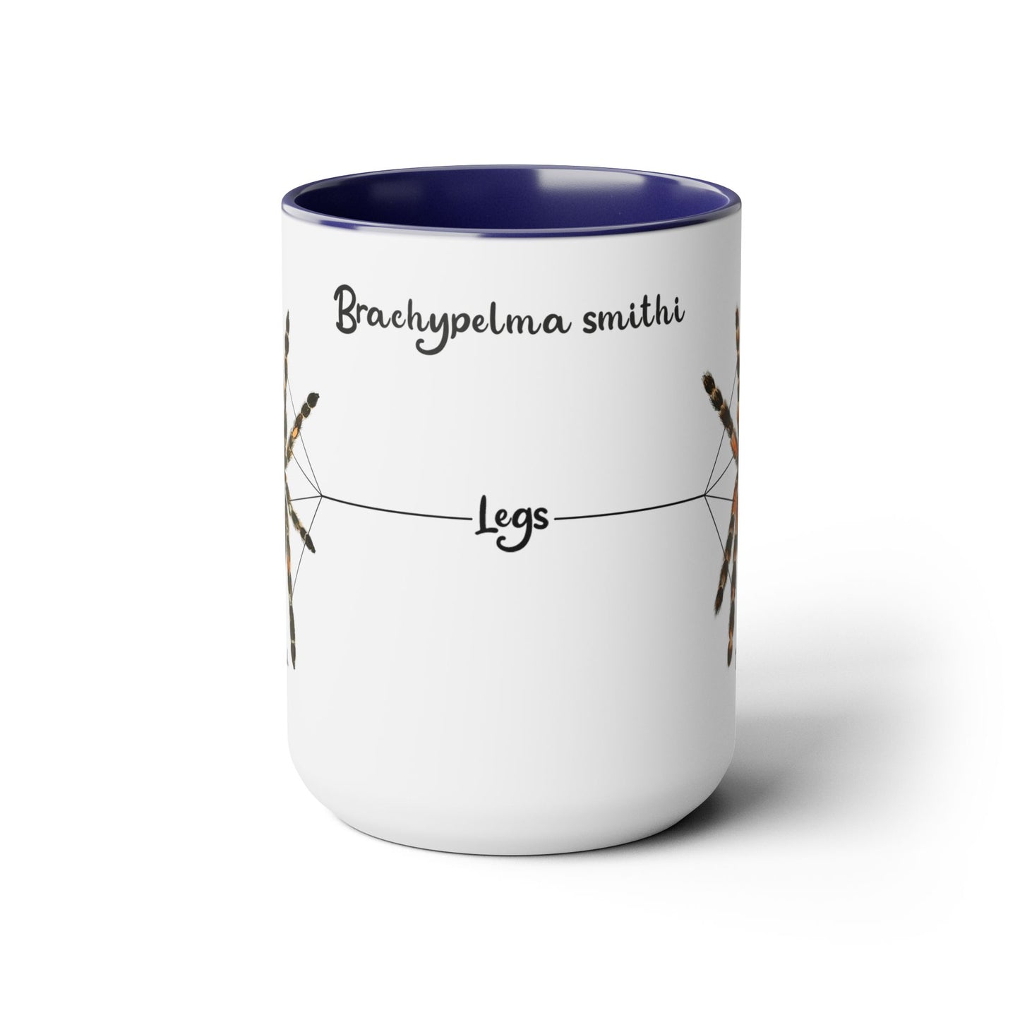 Brachypelma Smithi Anatomy Mug, 15oz (Medium)