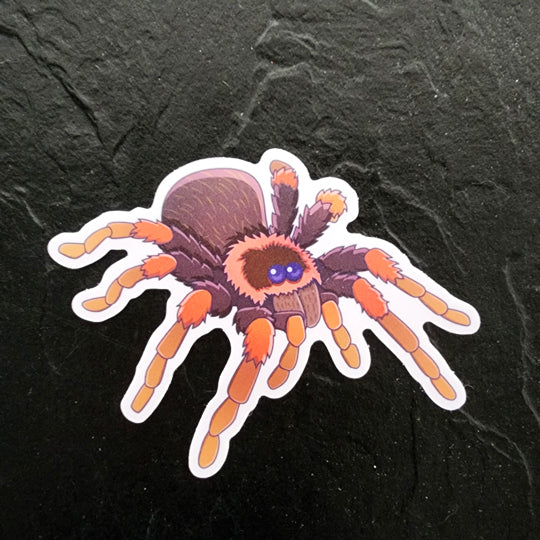 Tarantula Die Cut Sticker (3"x3") image 0