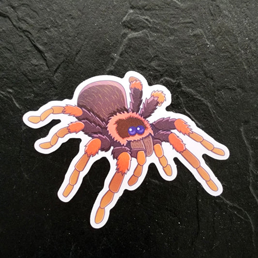 Tarantula Die Cut Sticker (3"x3") image 0