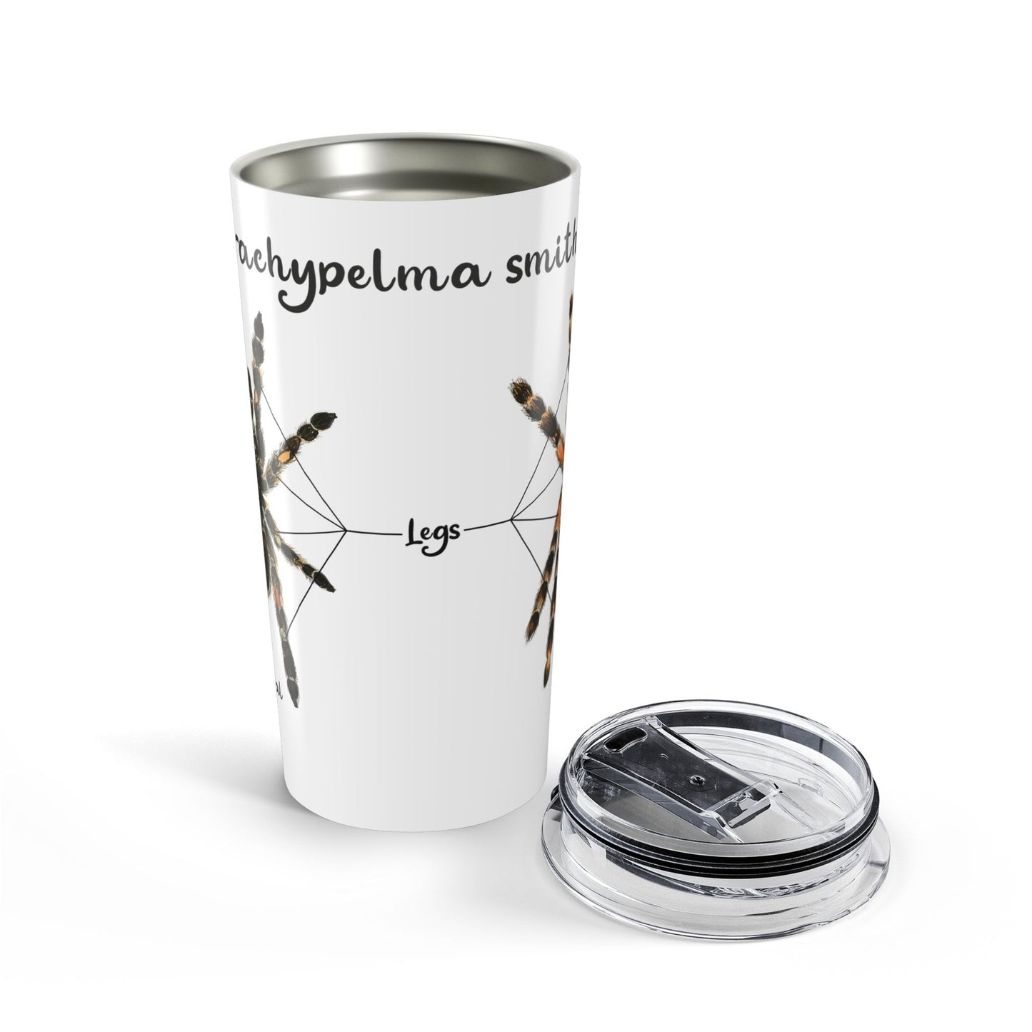 Brachypelma Smithi Anatomy Tumbler 20oz