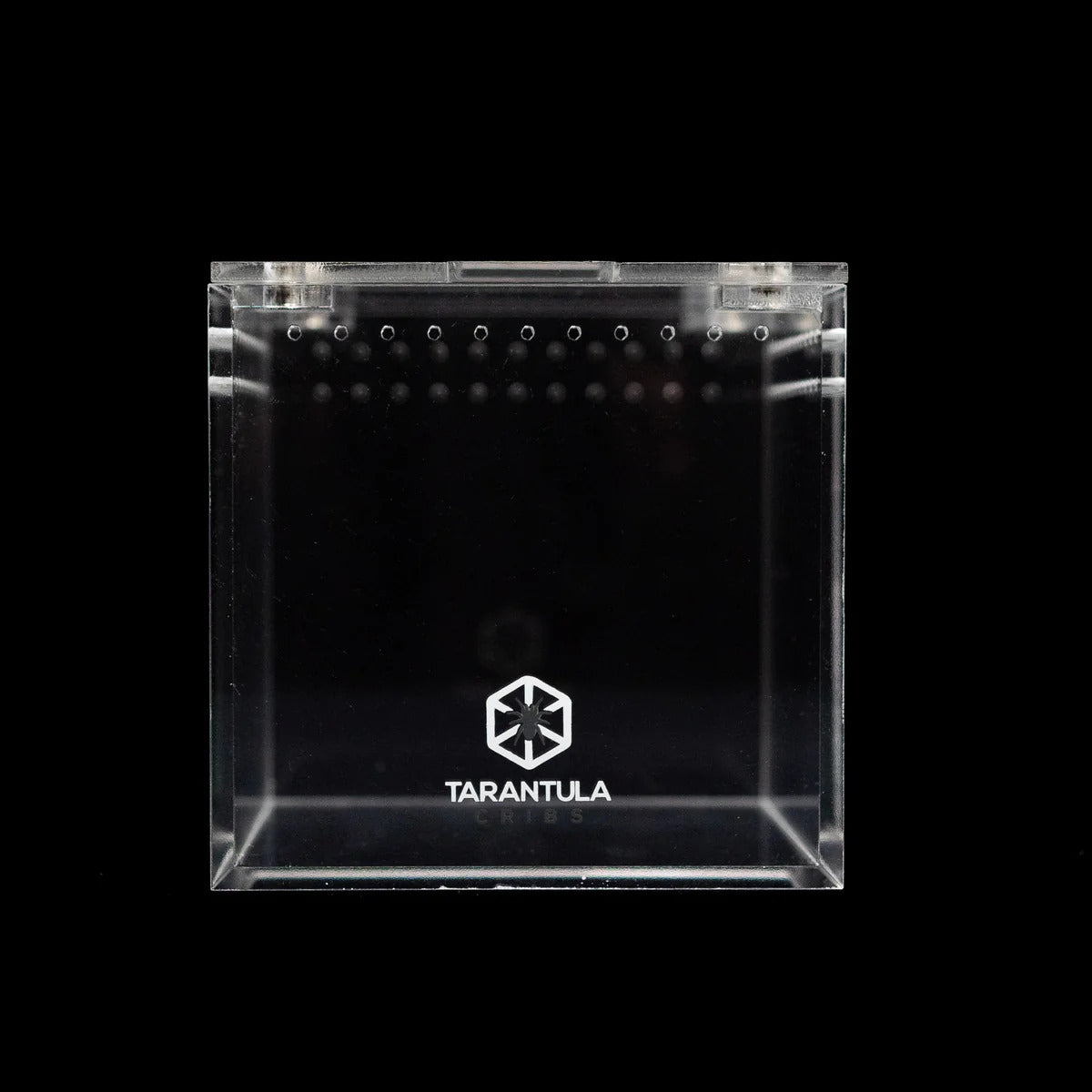 3″ Tarantula Cube | Best Acrylic Spiderling Enclosure