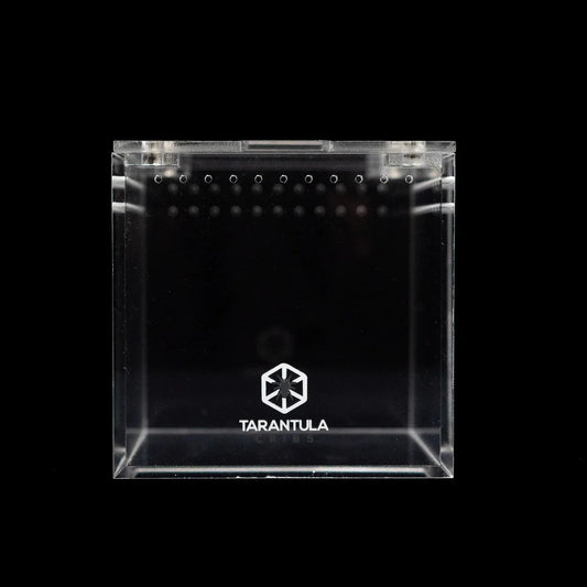 3″ Tarantula Cube | Best Acrylic Spiderling Enclosure