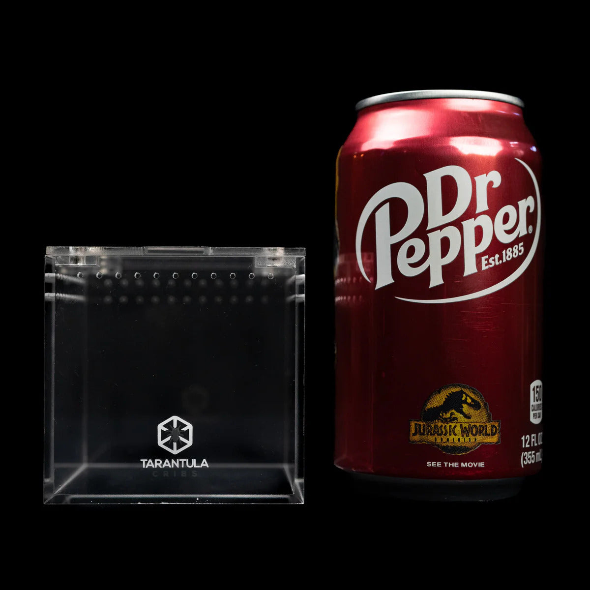 3″ Tarantula Cube | Best Acrylic Spiderling Enclosure