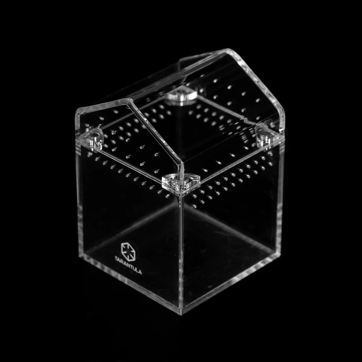 3″ Tarantula Cube | Best Acrylic Spiderling Enclosure