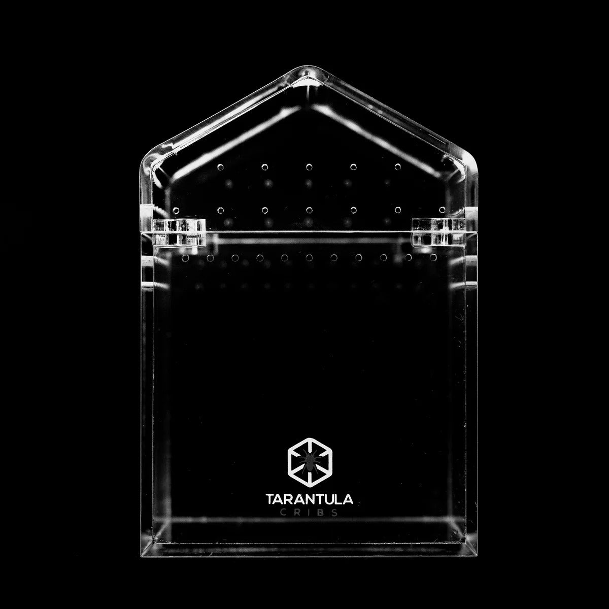 3″ Tarantula Cube | Best Acrylic Spiderling Enclosure