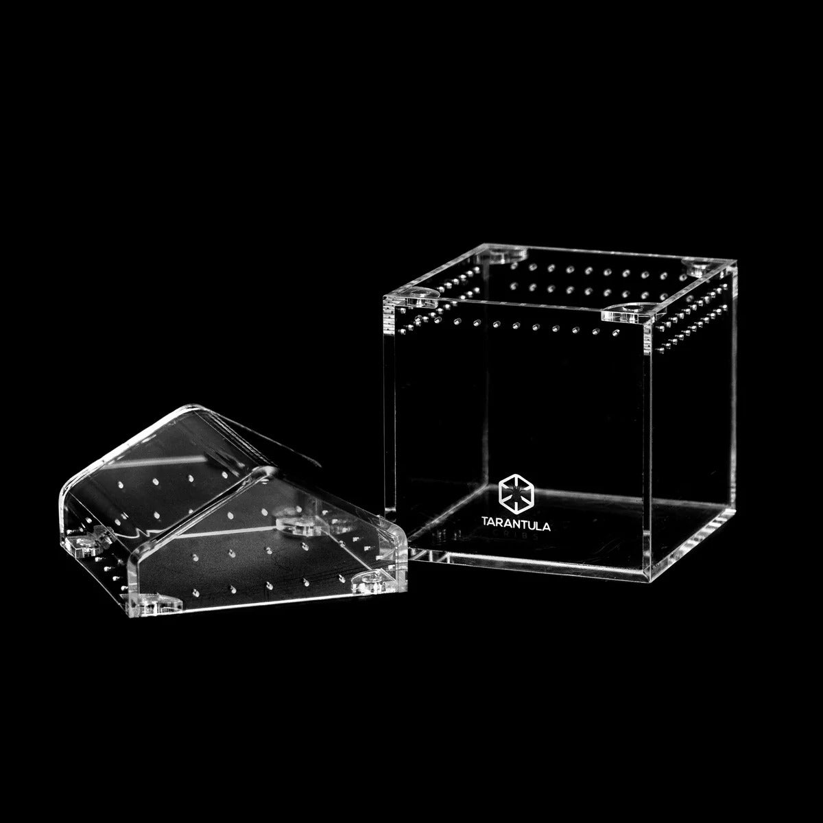3″ Tarantula Cube | Best Acrylic Spiderling Enclosure