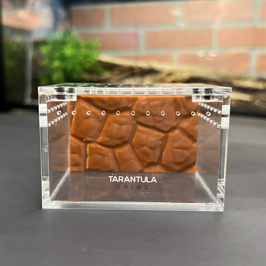 Tarantula Cribs Sling 3x2 Background