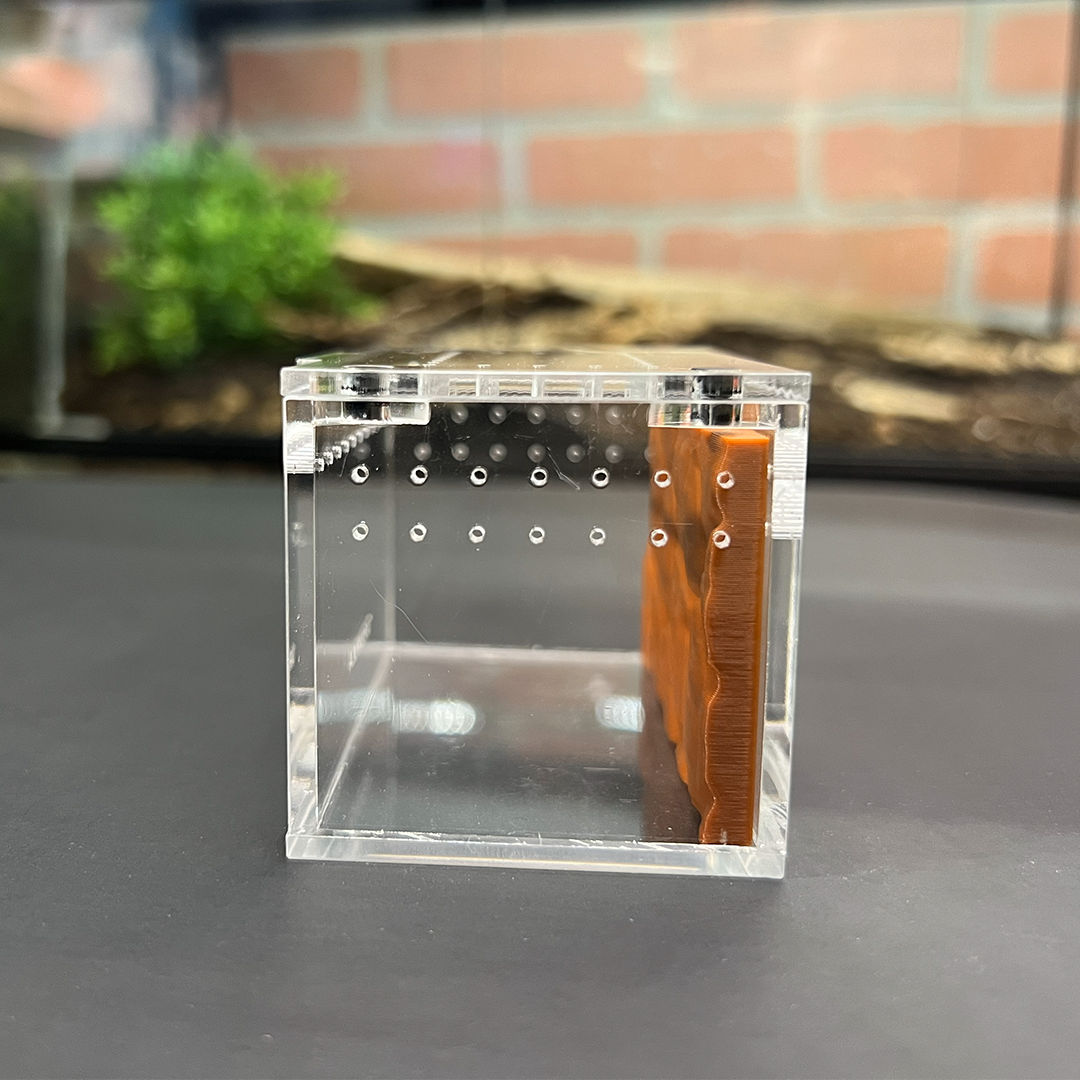 Tarantula Cribs Sling 3x2 Background