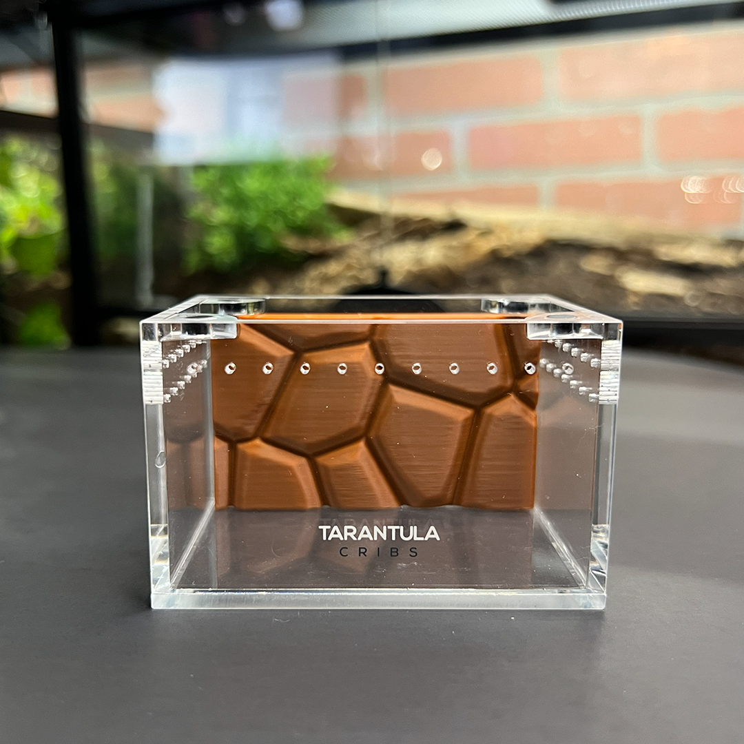 Tarantula Cribs Sling 3x2 Background