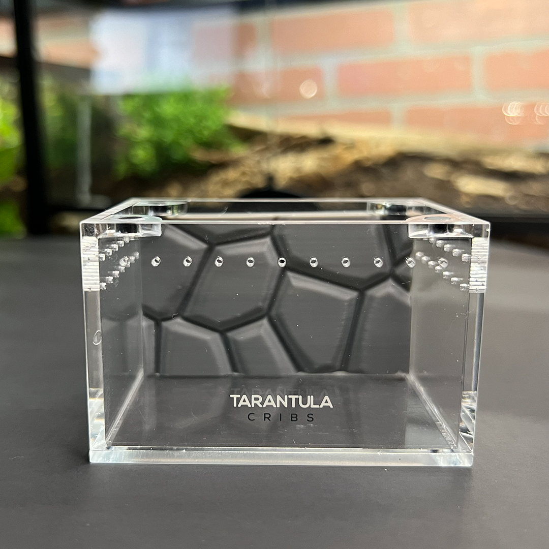 Tarantula Cribs Sling 3x2 Background