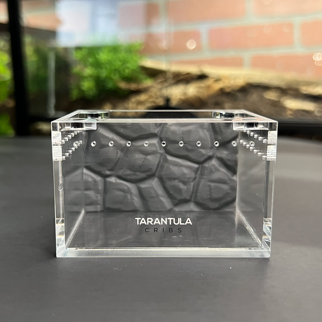 Tarantula Cribs Sling 3x2 Background