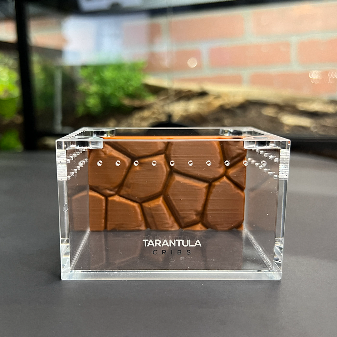 Tarantula Cribs Sling 3x2 Background