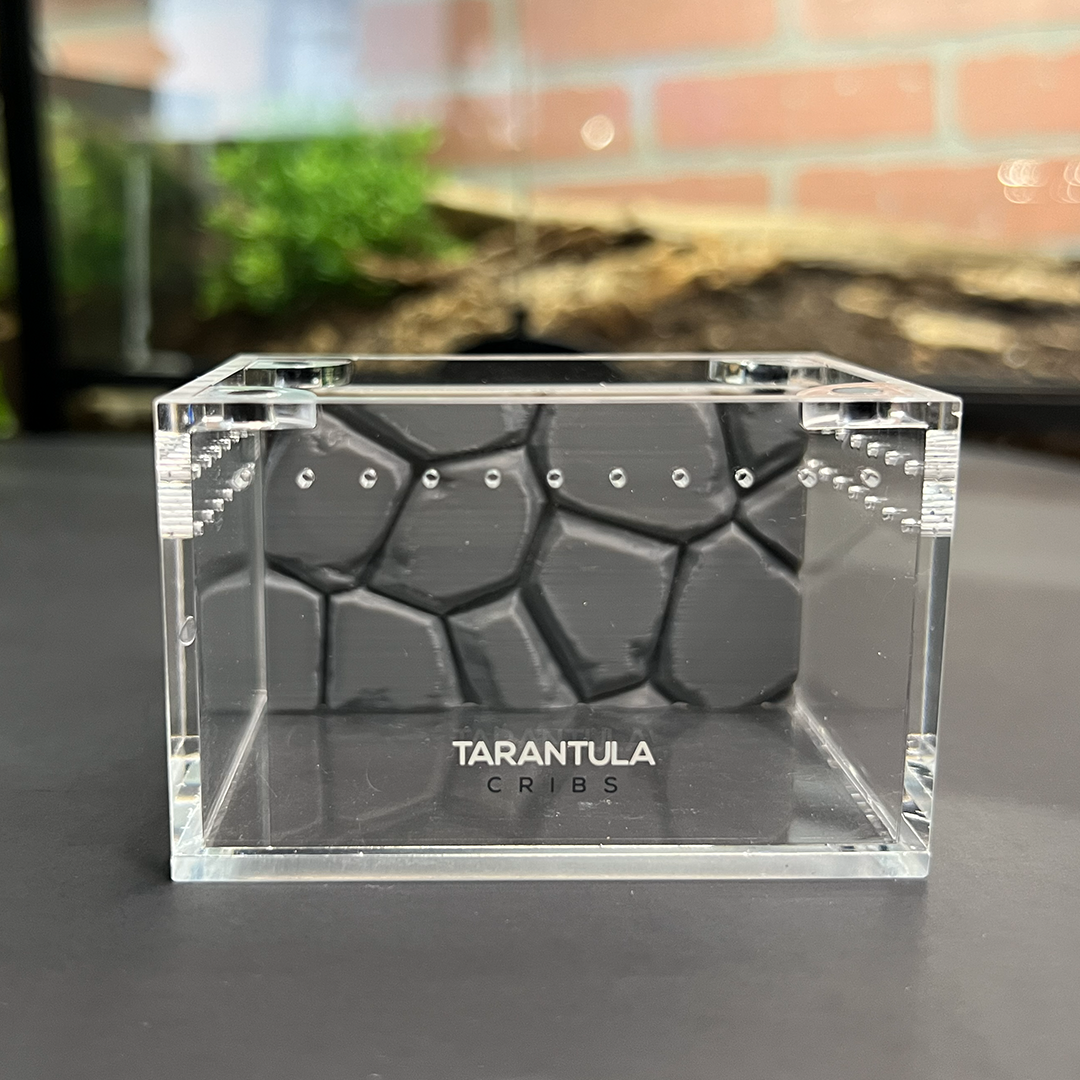 Tarantula Cribs Sling 3x2 Background