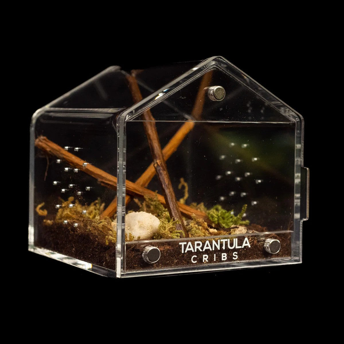 3″ Tarantula Canopy | Best Acrylic Spiderling Enclosure