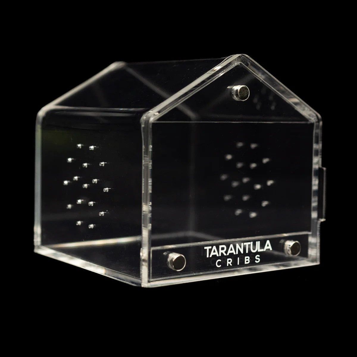 3″ Tarantula Canopy | Best Acrylic Spiderling Enclosure