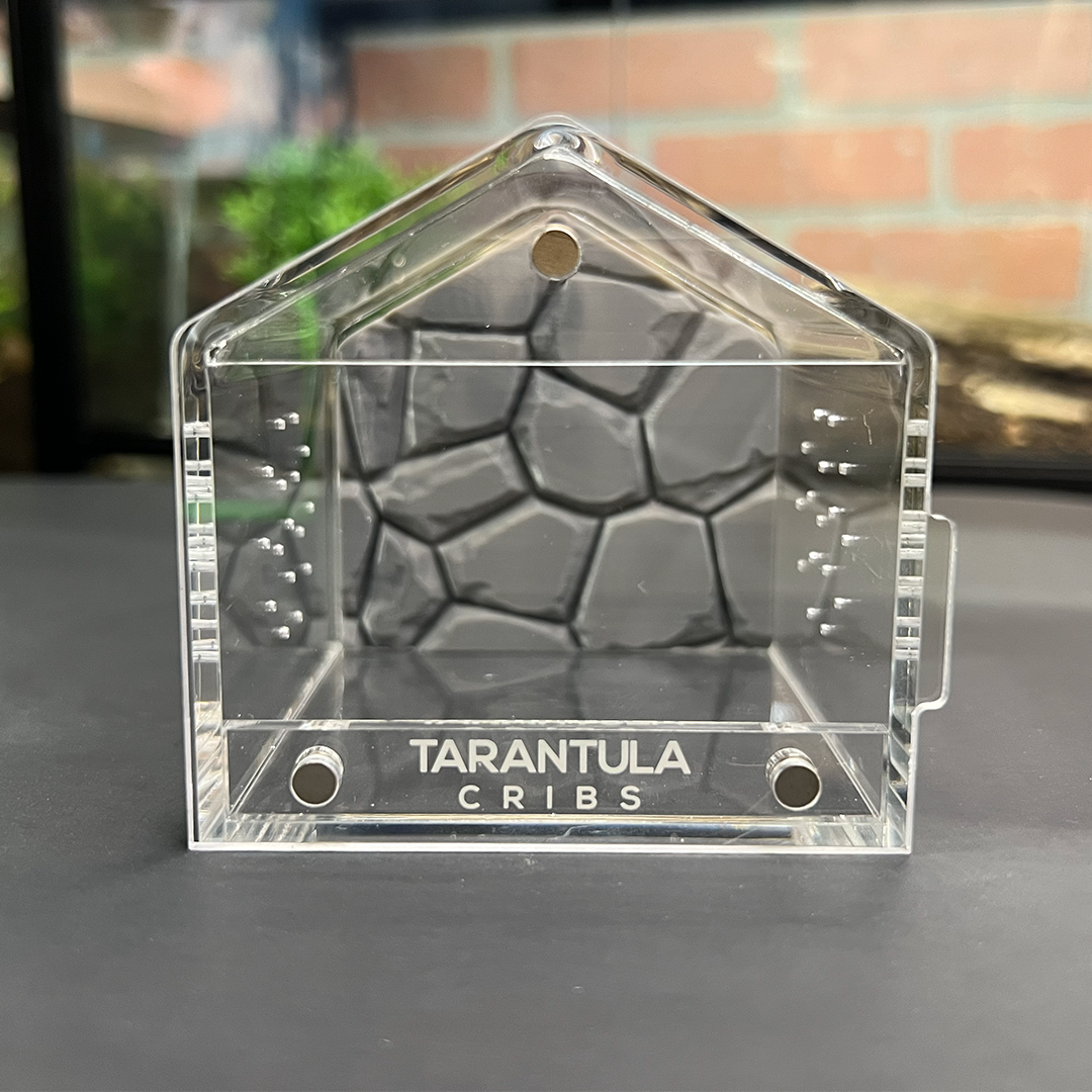 Tarantula Cribs 3x3 Canopy Background