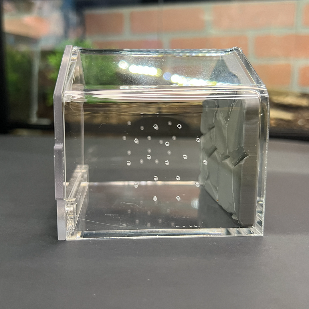 Tarantula Cribs 3x3 Canopy Background