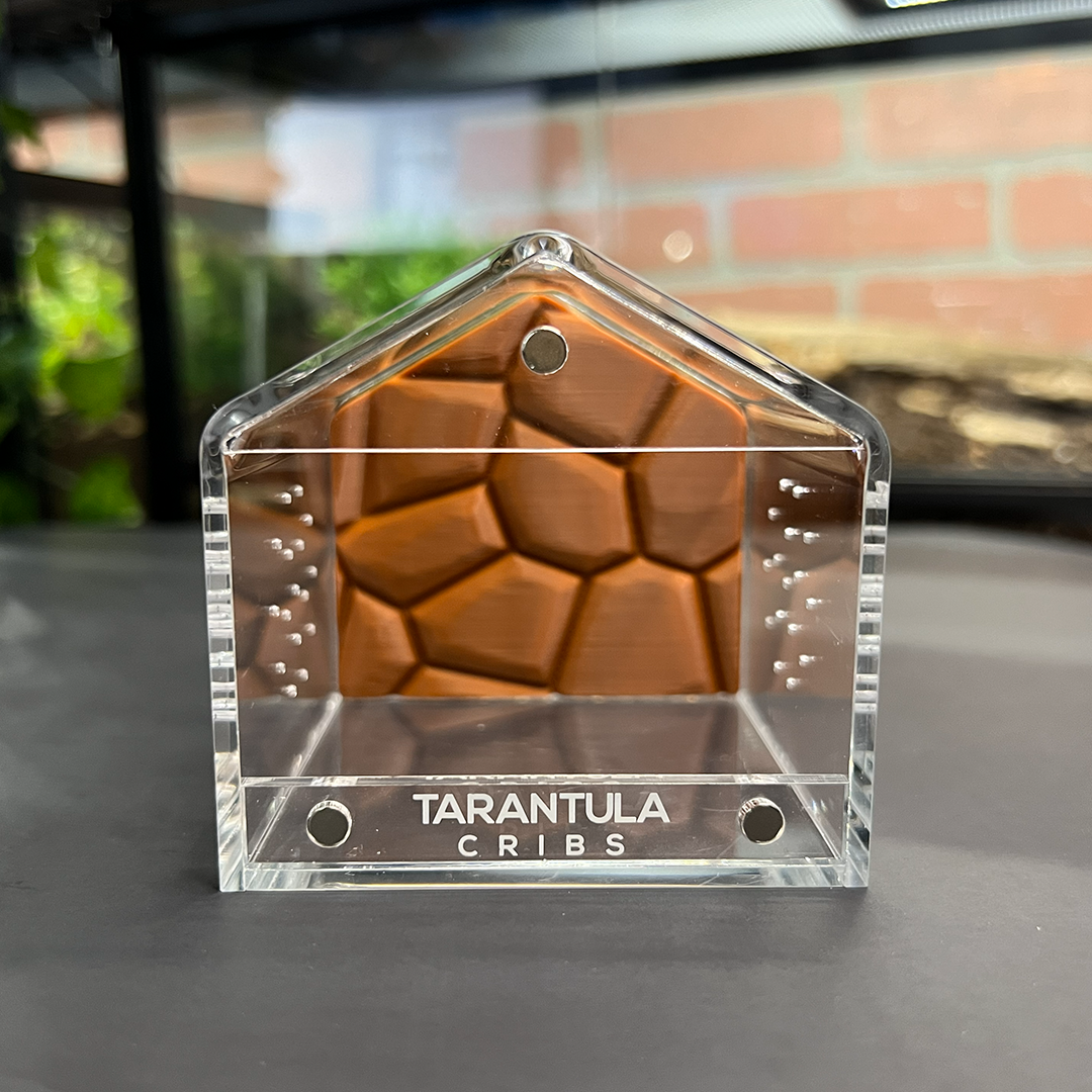 Tarantula Cribs 3x3 Canopy Background