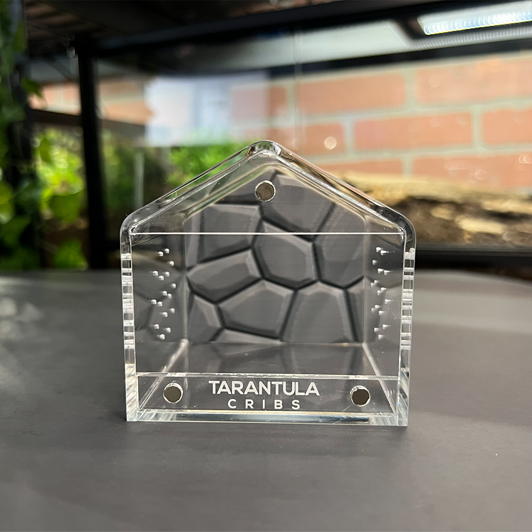 Tarantula Cribs 3x3 Canopy Background