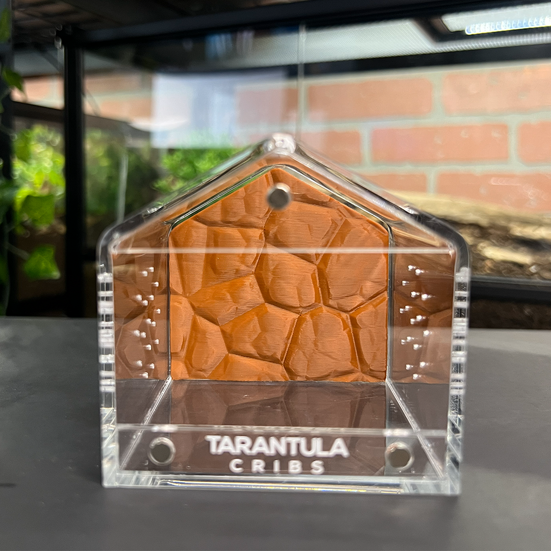 Tarantula Cribs 3x3 Canopy Background
