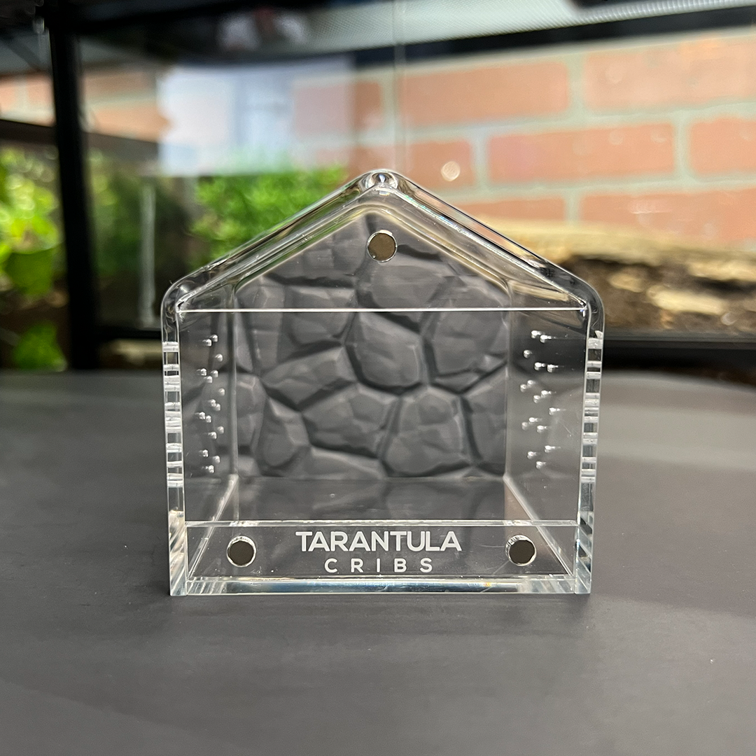 Tarantula Cribs 3x3 Canopy Background