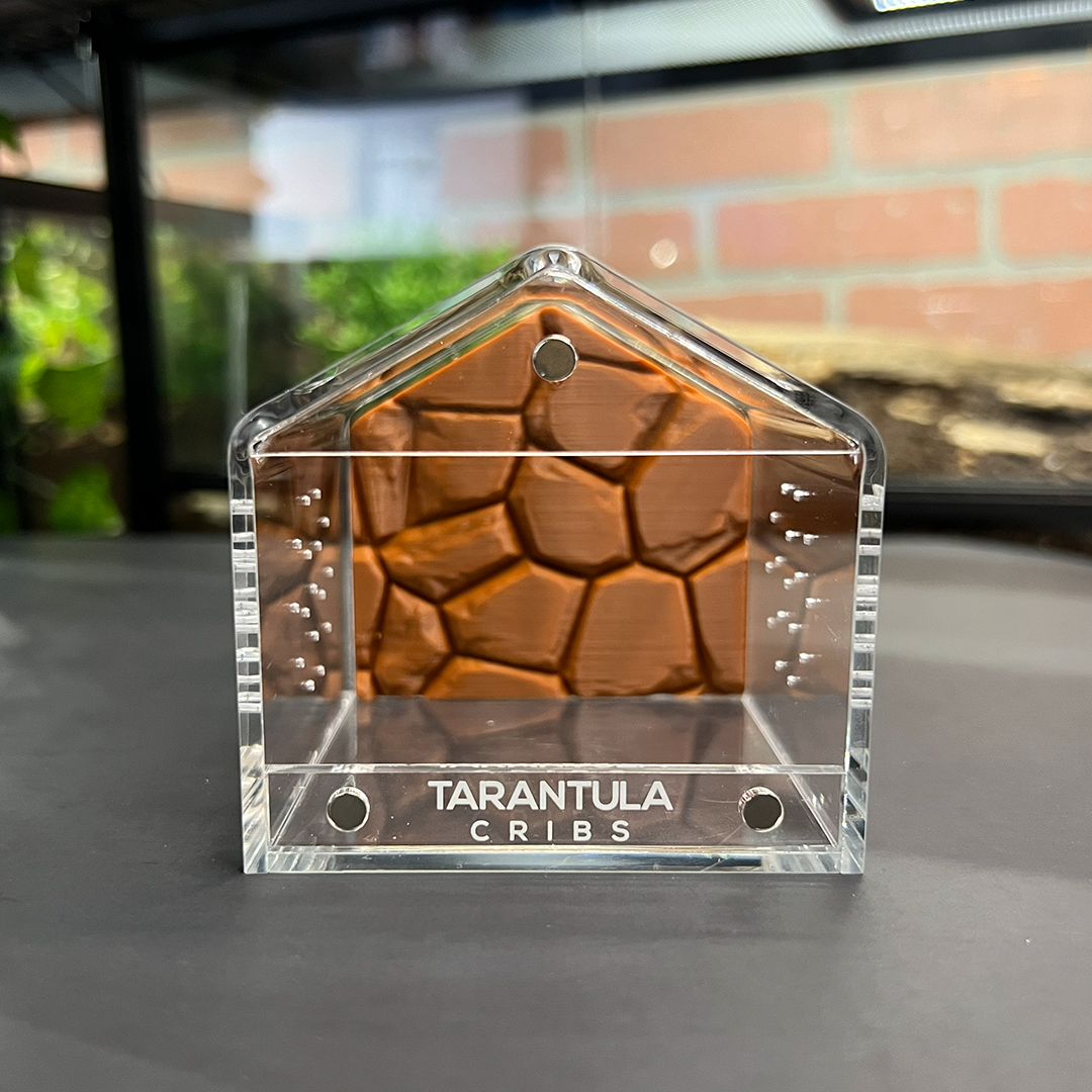 Tarantula Cribs 3x3 Canopy Background