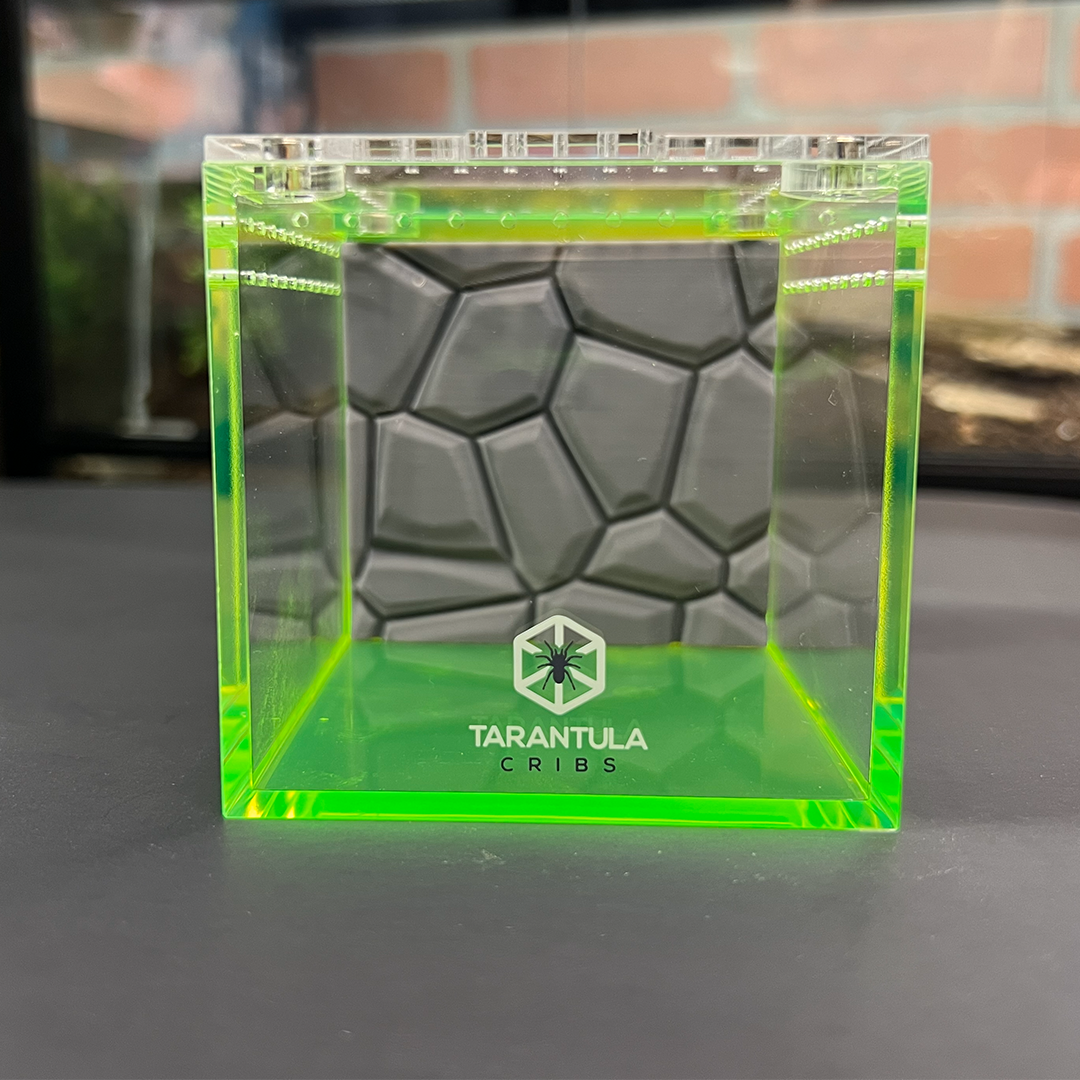 Tarantula Cribs 3x3 Cube Background – Arachnifiles