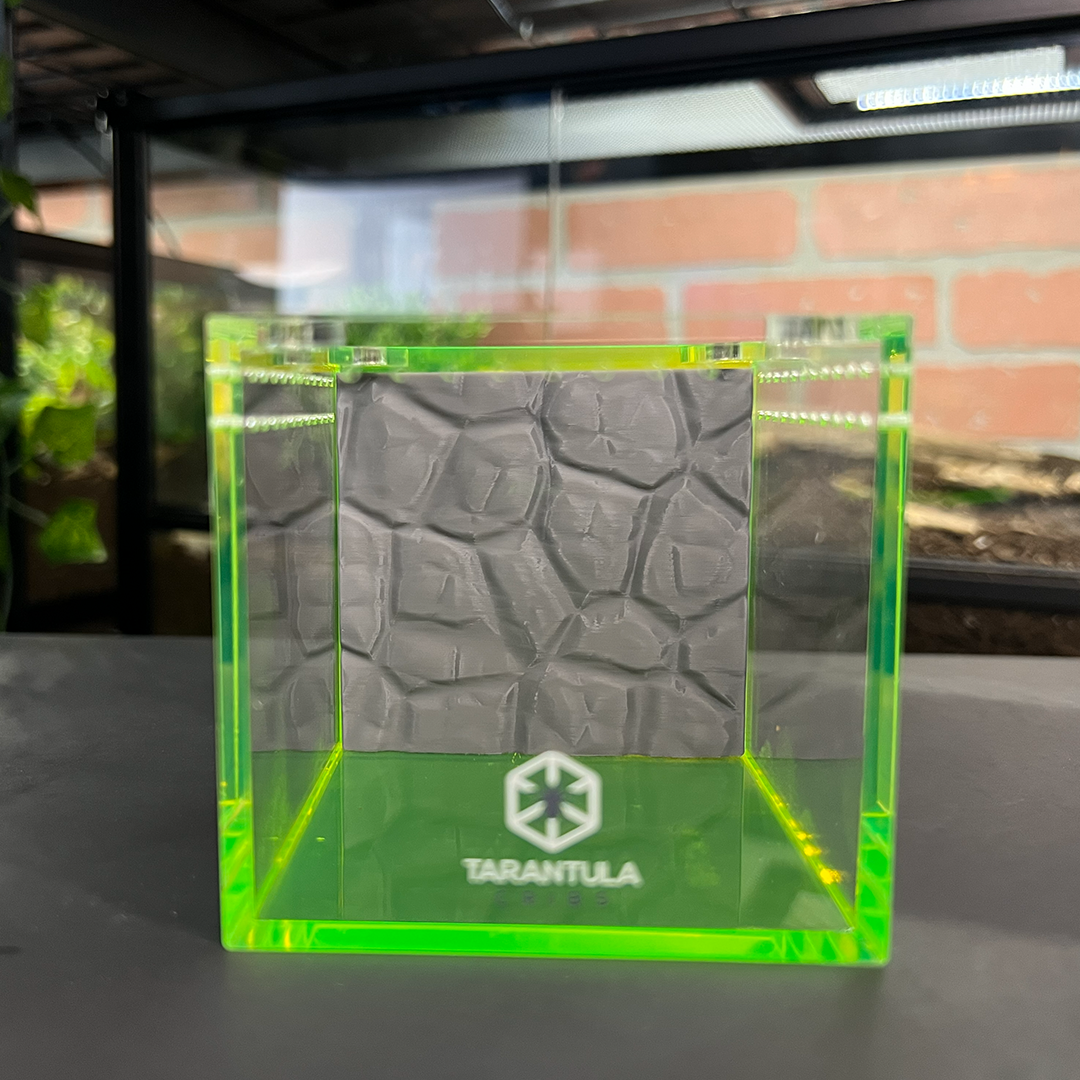 Tarantula Cribs 3x3 Cube Background