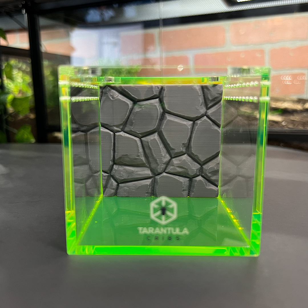 Tarantula Cribs 3x3 Cube Background