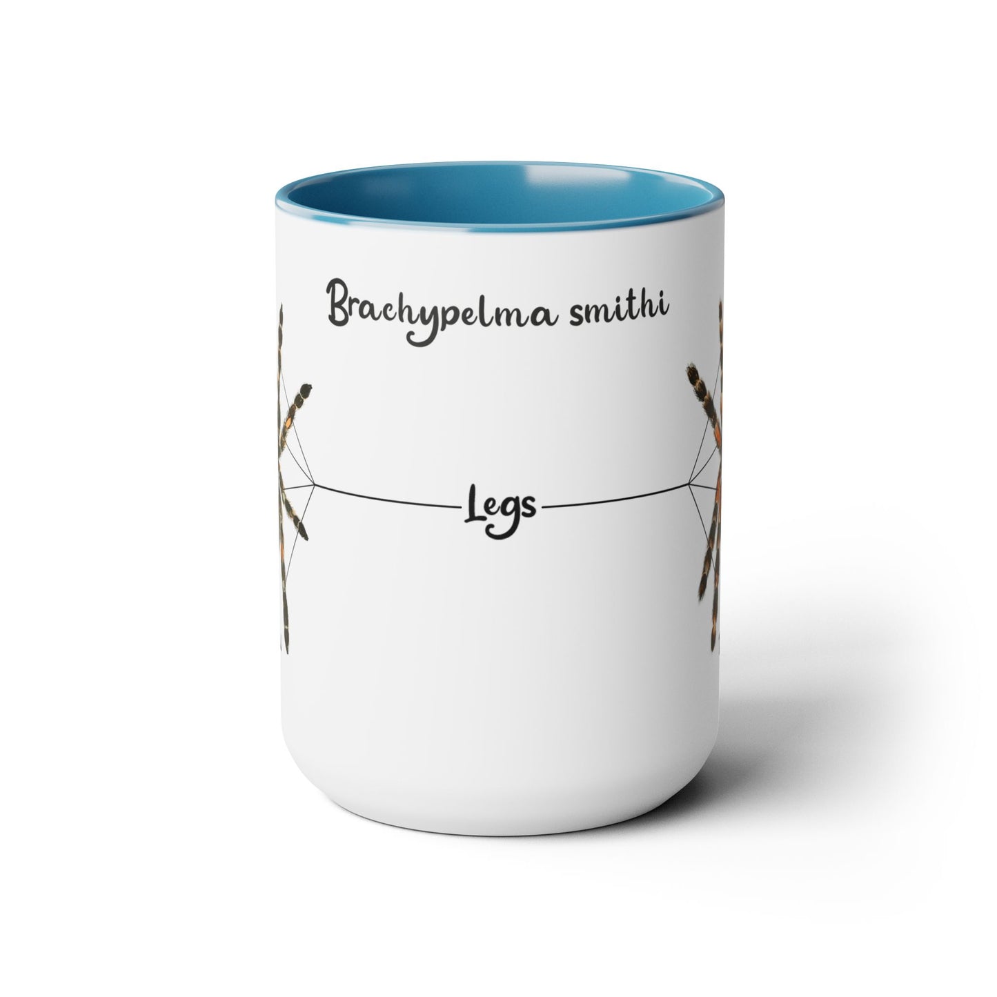 Brachypelma Smithi Anatomy Mug, 15oz (Medium)