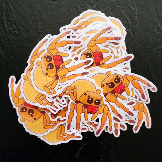 Jumping Spider Die Cut Sticker (3"x3") image 1