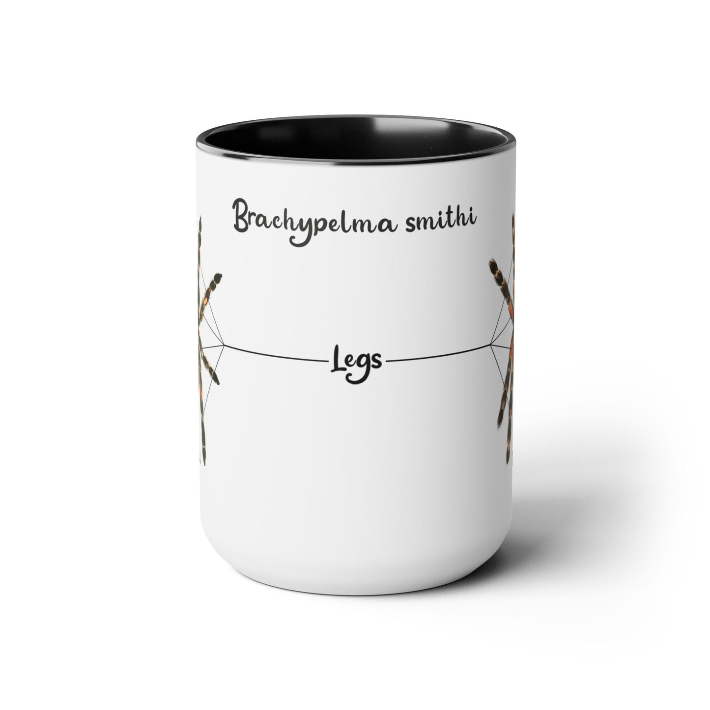 Brachypelma Smithi Anatomy Mug, 15oz (Medium)
