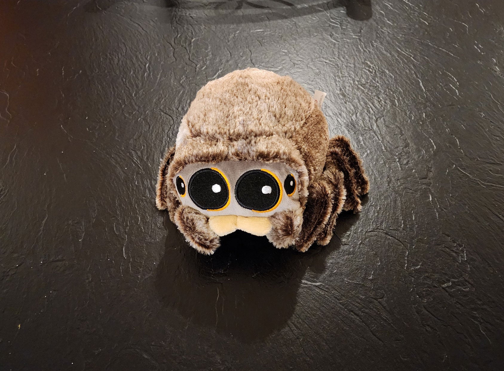 Jumping Spider Plushy image 1