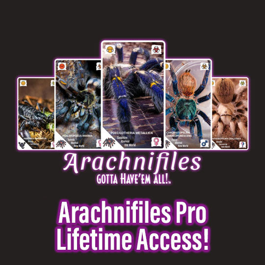 Arachnifiles Pro Lifetime image 0
