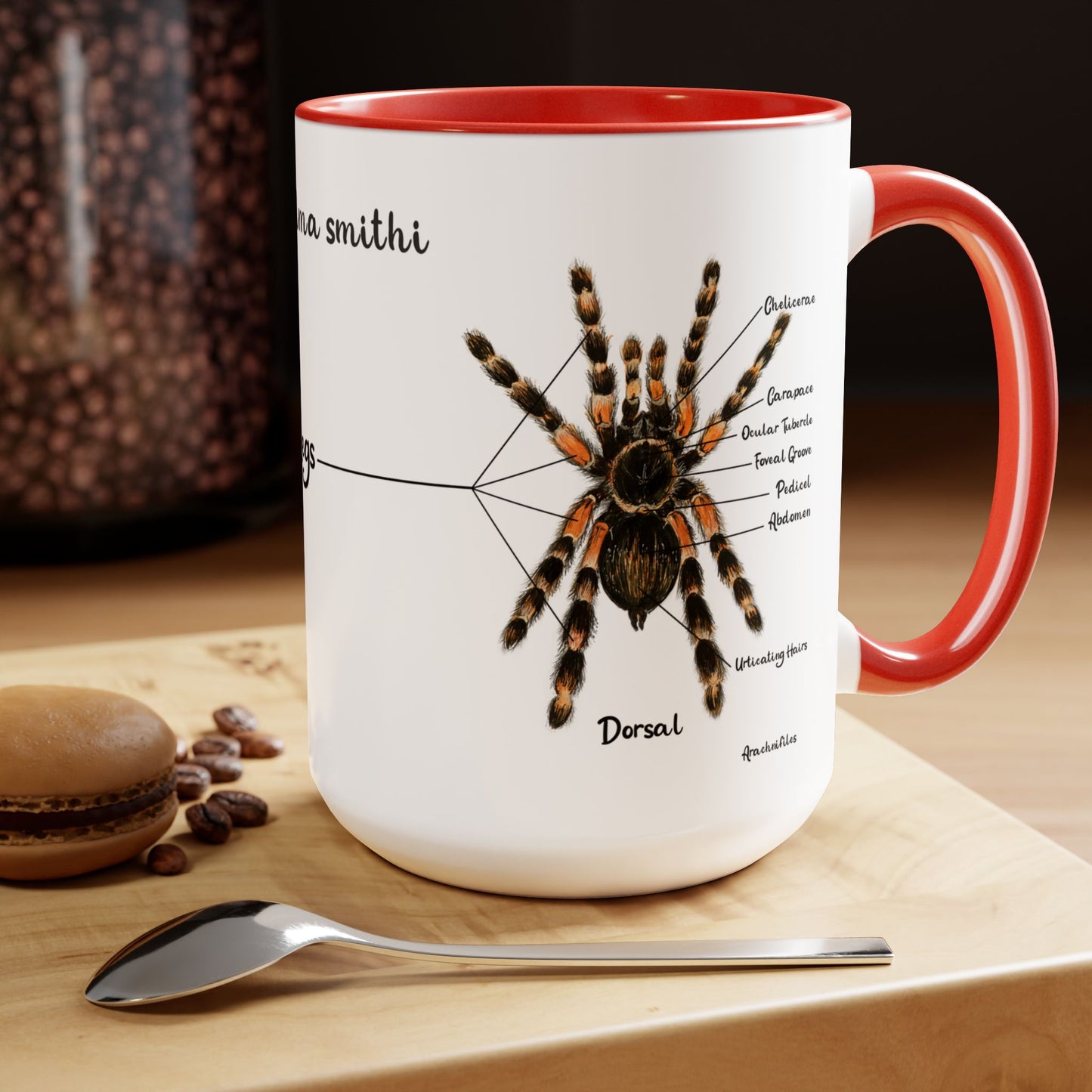 Brachypelma Smithi Anatomy Mug, 15oz (Medium)