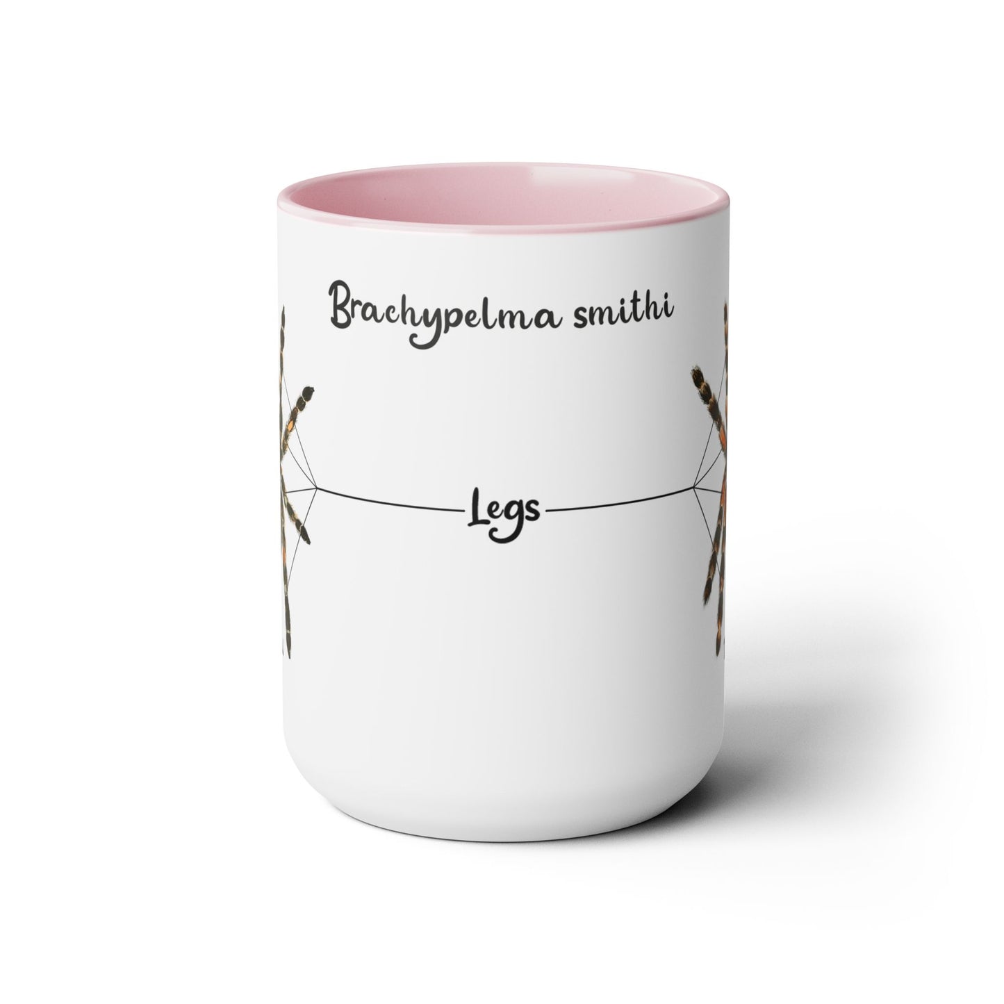 Brachypelma Smithi Anatomy Mug, 15oz (Medium)