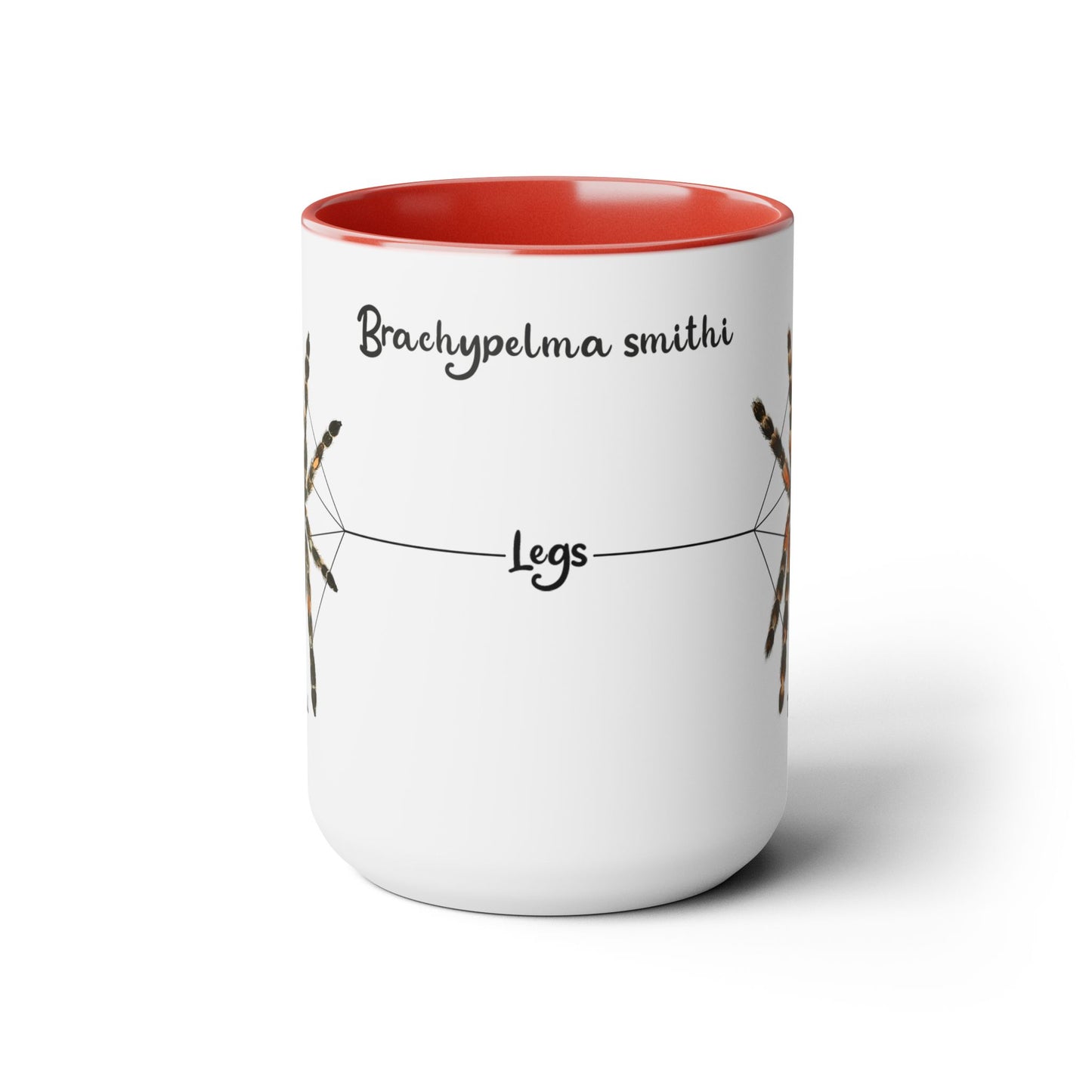 Brachypelma Smithi Anatomy Mug, 15oz (Medium)