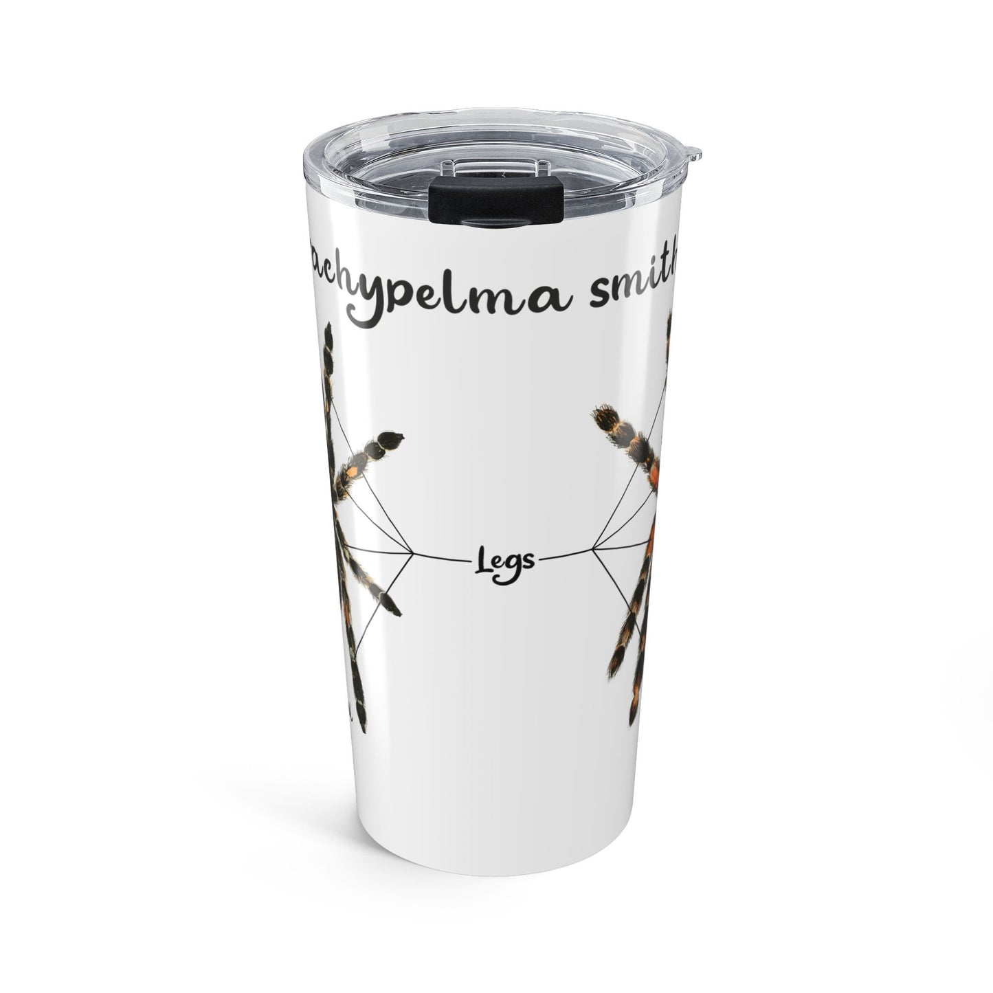 Brachypelma Smithi Anatomy Tumbler 20oz
