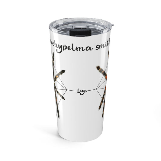 Brachypelma Smithi Anatomy Tumbler 20oz
