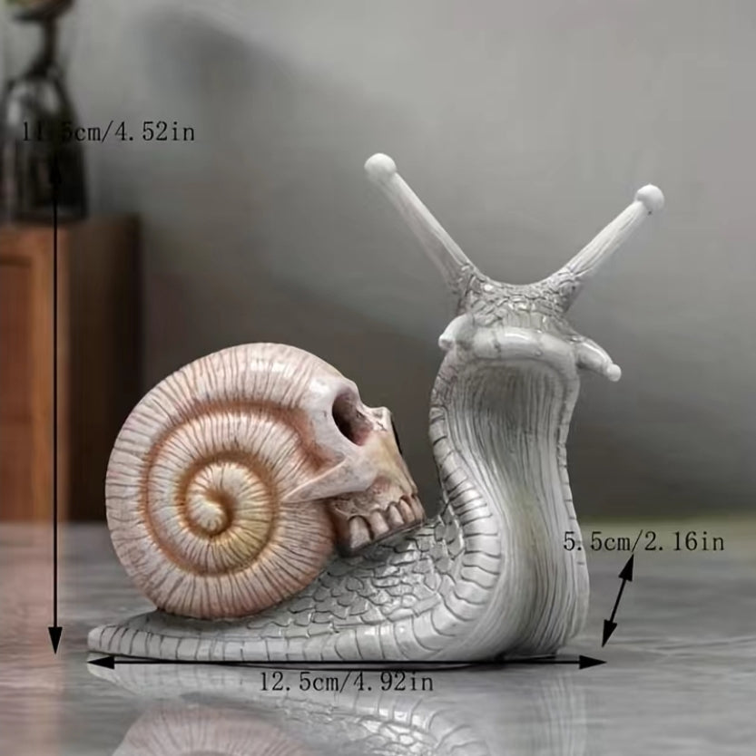Snail Skull image 3