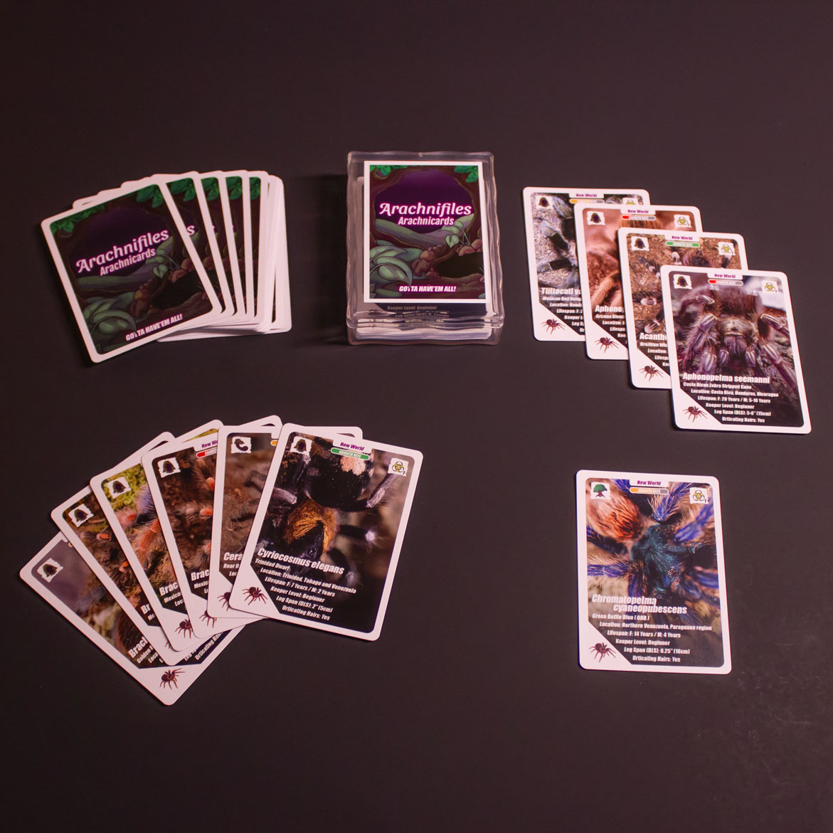 tarantula pokemon card Tarountula | Scarlet & Violet