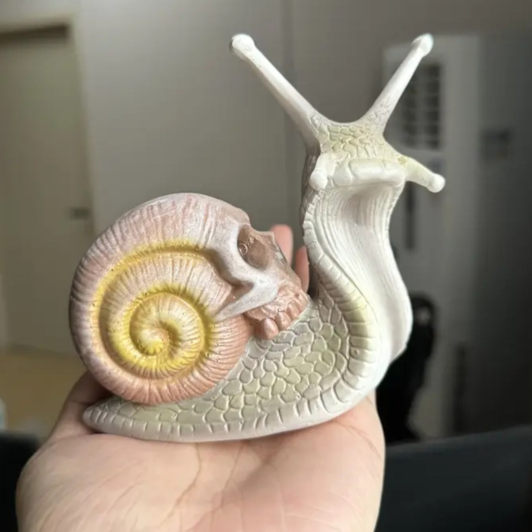 Snail Skull