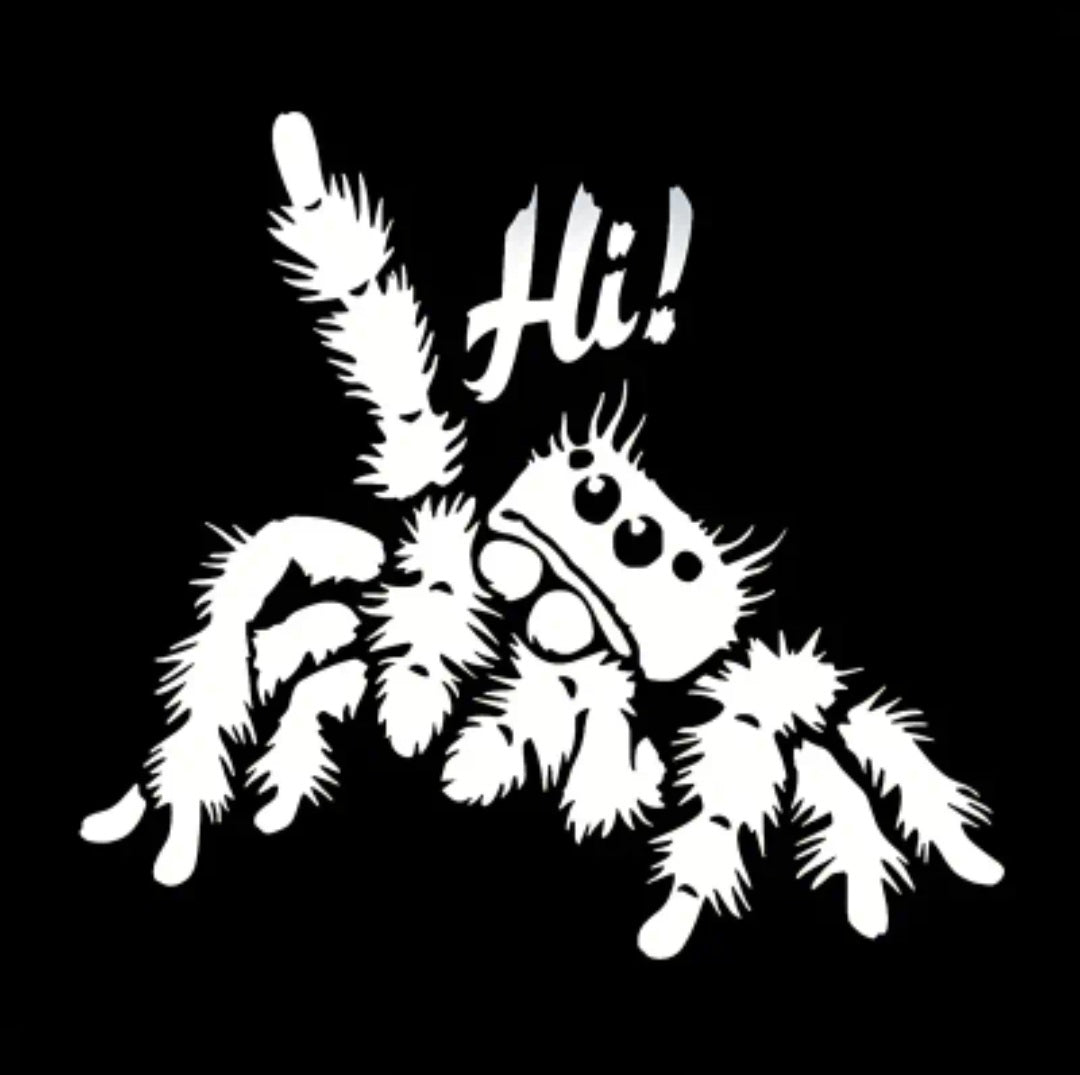Jumping Spider “Hi” Car Sticker – Cute Window or Trunk Decal